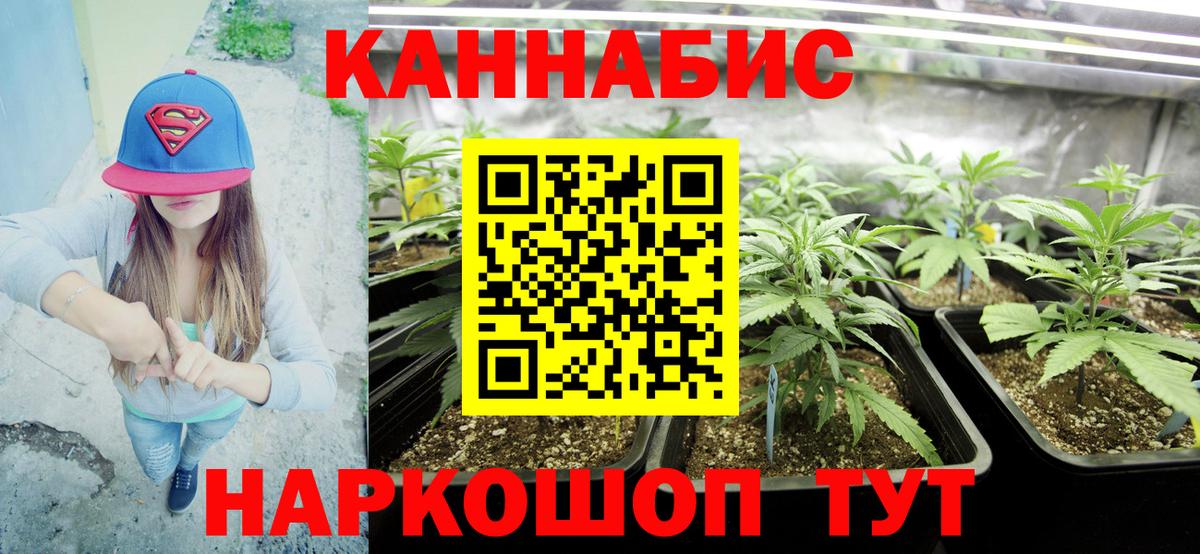 Марихуана планчик  Канабис OG Kush  Артёмовский  Бошки марихуана OG Kush  Вход с VPN 